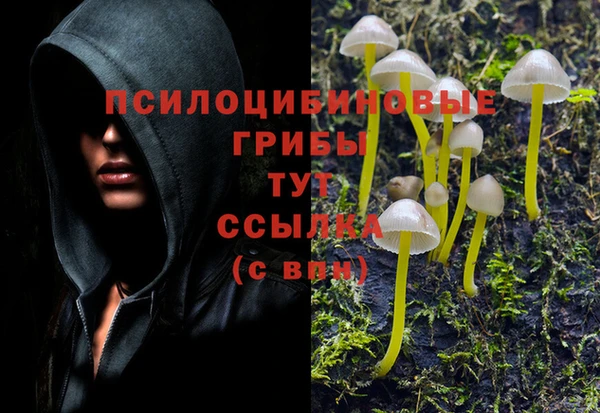 таблы Рославль