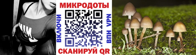 продажа наркотиков  Солигалич  Псилоцибиновые грибы Cubensis 