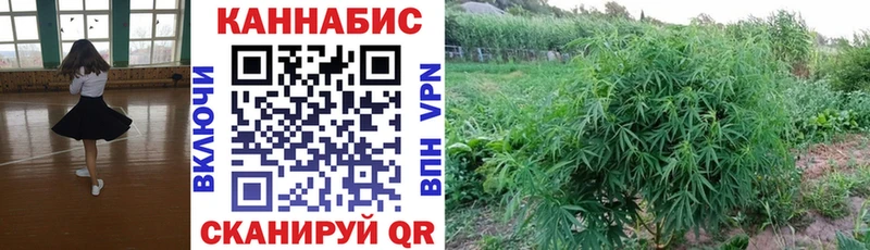 Шишки марихуана OG Kush  где найти   Солигалич 