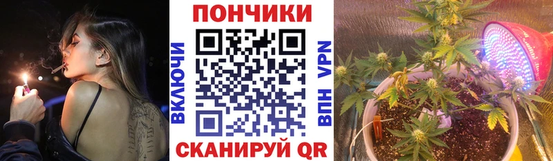 Конопля сатива Солигалич